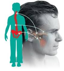 Kiefergelenkstherapie Haus Der Zahngesundheit Koln