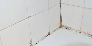 If your home has a humidity level above 60%, check for mold growth. 11 Most Common Places To Check For Mold In Your Home Molekule Blog