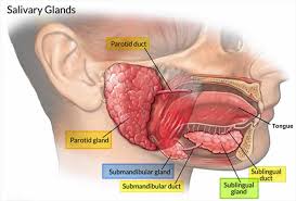 Videos tagged with mouth drool. Drooling Causes In Baby Children Adults How To Stop Excessive Drooling