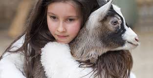 Editor's Desk: Sadie the Goat