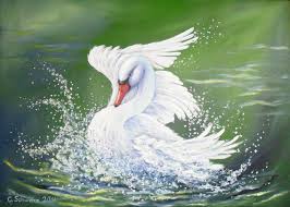 Planschender Schwan Kunst Malerei Bild Gemalde Von Acrylfee Auf Dawanda Com Bird Art Animal Paintings