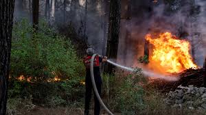 Wildfires are common in turkey's mediterranean and aegean regions during the arid summer months. Q4q1nqokc9ehbm