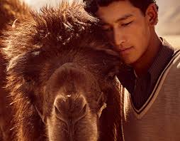 India Travel Projects :: Photos, videos, logos, illustrations and branding  :: Behance