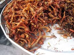 This article is a stub about a character. The Famous Grasshopper Suborder Caelifera Is Known As An Edible Insect To Many People This Is Often A First Insect Meal To P Bizarre Foods Food Weird Food