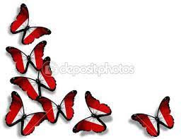 Peruvian Flag Butterflies Isolated On White Background Felices Fiestas Patrias Peru Imagenes De Simbolos Dia De La Patria