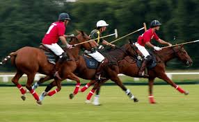 What is the origin of polo? - Lobocourse