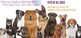 Midtown offers basic grooming services for our boarding and daycare customers at all of our locations. Furrytails Pet Spa Pet Grooming Pet Boarding Pet Luxury Packages Pet Haircut Pet Bath Marrero Westbank Pet Grooming And Boarding