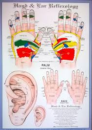 Ear Acupressure Hand Reflexology