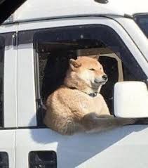 The Best Buff Memes Memedroid