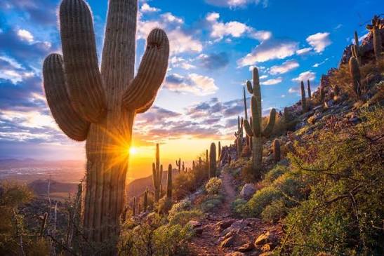 First Timers Guide to Arizona | Elite Vacation Rentals