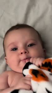 Mom Sings Amazing Grace While Kids Pet Dies