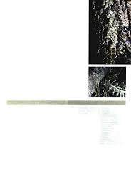 Image result for Mohria lepigera