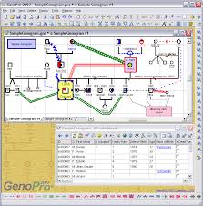 The easiest way to draw a family tree is start with a family tree template. Family Tree Software Draw Your Family Tree Diagram Genopro