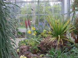 Sie sind spannende lernorte und hochwertige erholungsräume für erwachsene. Datei Krefeld Botanischer Garten P1030241 Jpg Wikipedia
