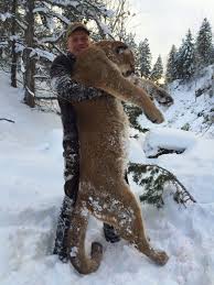 Dass es aber auch wilde pumas in british columbia und anderen provinzen des landes gibt, das ist nicht ganz so bekannt. Pumajagd In Britisch Kolumbien Jagd In Kanada
