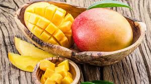 تفسير رؤية شجرة المانجو في الحلم أو المنام لابن سيرين أو لابن كثير أو للنابلسي أو لابن شاهين أو للإمام الصادق عبر موقع رؤية roy2a.com، شجرة المانجو في. ØªÙØ³ÙŠØ± Ø­Ù„Ù… Ø§Ù„Ù…Ø§Ù†Ø¬Ùˆ ÙÙŠ Ø§Ù„Ù…Ù†Ø§Ù… ÙƒØ§Ù…Ù„Ø¢ Ø§Ù‚Ø±Ø£ Ø§Ù„Ø³ÙˆÙ‚ Ø§Ù„Ù…ÙØªÙˆØ­