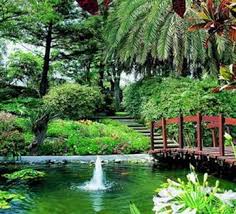 Puerto De La Cruz Botanical Garden Islas Canarias Tenerife Isla Canarias