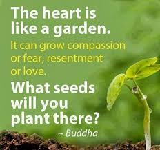The Heart Is Like A Garden It Can Grow Compassion Or Fear Resentment Or Love What Seeds Will You Plant There Quotes