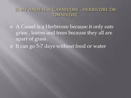 However, unlike carnivores, omnivores and herbivores showed fewer shared adaptive signatures, indicating that carnivores are under strong selective pressure related to diet. Ppt Desert And Camels Powerpoint Presentation Free Download Id 1953387