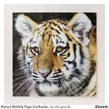 Nature Wildlife Tiger Cat Puzzle For Adults Zazzle Com In 2020 Cat Puzzle Animal Puzzles Wildlife