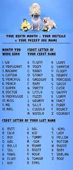 People names for female dogs. What S Your Dog Identity Dog Names Dog Facts Dogs