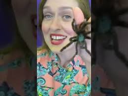 Meet Tip Toes The Pink Toe Tarantula Next