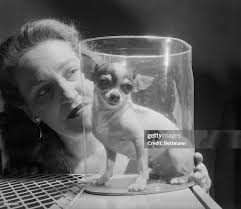 Ensconced in a plastic case that protect it from the drafts at... News  Photo