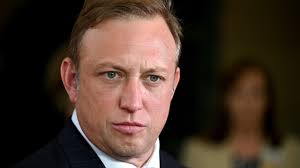 Queensland LNP candidate Bree James reviled for Facebook post joking about  Hitler graffiti