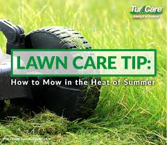 Lawn Care Tip How To Mow In The Heat Of Summer Turf Care