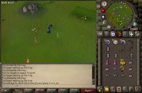 Old School Runescape | 1-99 Hunter Training Guide (P2P) | Hgg