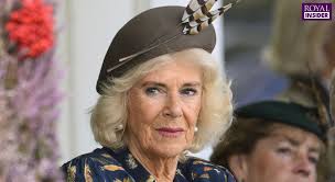 Hit TV show 'ban' Princess Diana's friend from ever appearing to 'avoid  upsetting Queen Camilla'