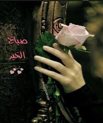 صباح الخير يا وردتي الحلوة ري beautiful flowers pictures beautiful flowers flowers
