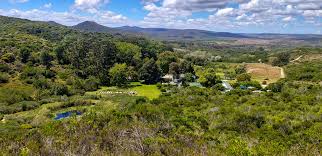 The file extensions can be.jpg,.jpeg,.jp2. Bodhi Khaya Nature Retreat