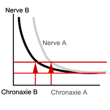Strength Duration Curve