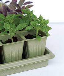 Eco Friendly Greenhouse Kit All Natural Biodegradable Seed Starting Greenhouse Kit Trays Made From Plants And Starting A Garden Seed Starting Greenhouse Kit