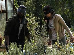 Try not to crash your plane. Bird Box Ending Explained