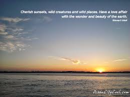 A sunset tells us what we are and where we should head to. Ocean Sunset Quotes Quotesgram