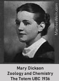 Memories: MoPops' Last Christmas Tree