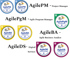 Dsdm Certifications Agilepm Agilepgm Agileba Agileds Program Management Programme Manager Business Analyst
