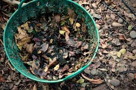 Composted Leaves Diy