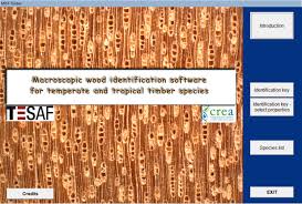 We did not find results for: Pdf Atlas Of Macroscopic Wood Identification With A Special Focus On Timbers Used In Europe And Cites Listed Species