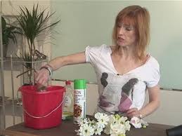 With clear glass vases if you pull the outer most foliage and flowers over the rim of the vase it will look more realistic and you will not be able to tell that there isn't any. A Guide To Cleaning Silk Flowers Youtube