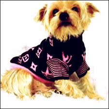 Louis Vuitton Balikci Kazak Pembe Www Kemique Com Lv Petclothes Petfashion Dogfashion Goruntuler Ile Louis Vuitton Pembe Kopek