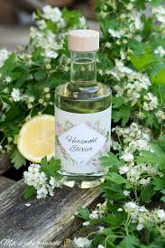 Einer Der Auf Unser Herz Schaut Der Weissdorn Rezept Fur Ein Herzwohl Elixier Mit Liebe Gemacht Hausmittel Fur Die Gesundheit Krauter Weissdorn