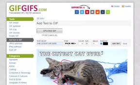 You can then add your personalized text on the photo of your choice. How To Add Text To A Gif Best Ways To Add Text To Gifs
