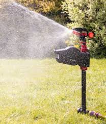 We did not find results for: How To Stop Cats Pooping In The Garden 6 Simple Tips To Deter