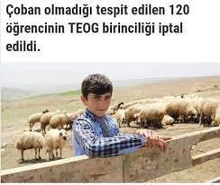 Kocaeli'den yaklaşık 53 bin adayın başvurduğu yks'de 6'sı ilk 100'de olmak üzere 43 öğrenci ilk 1000'e girmeyi başardı. Delidiyediyedeliettiler Auf Twitter Zaten Coban Olmayanlari Kabul Etmiyorlar Yksbirincisiemrepolat