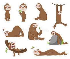 Cute baby sloths cute sloth cute baby animals funny animals baby otters wild animals pictures of sloths animal pictures animal espiritual. Set Of Cute Baby Sloth Adorable Cartoon Animals Funny Cartoon Sloths In Different Poses Cute Lazy Character Vector Stock Vector Illustration Of Animal Coolection 173604751
