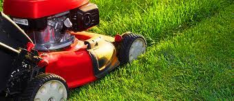 4 Reasons Why You Should Keep Your Grass Length Long Spring Green Blog