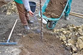 Exact rates can depend on moisture content, type of organic materials, and geographic location. How To Spread Topsoil Topsoil Pros